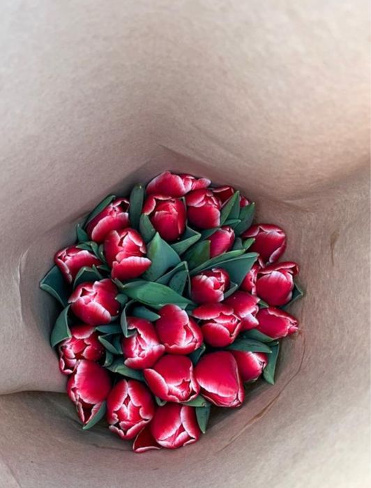 Тюльпаны оптом и в розницу.Тюльпаны голландские.оптом тюльпаны