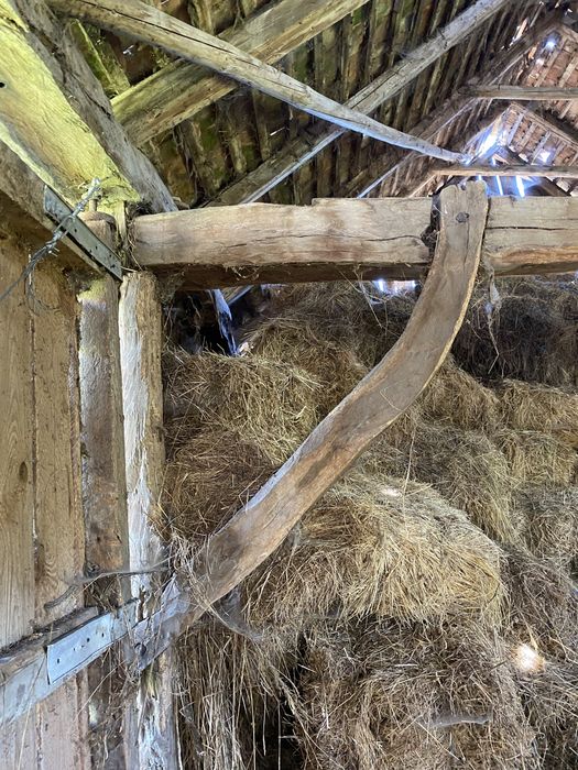 Sura din lemn de stejar