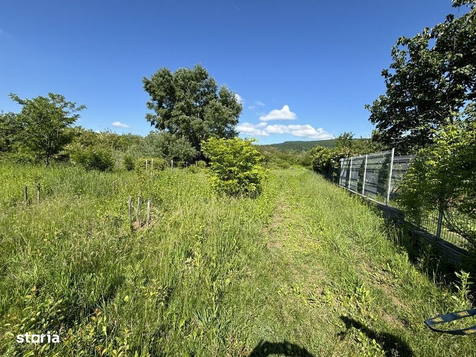 Teren Bujoreni Olteni