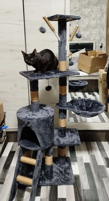 Когтеточка для вашего питомца  не повторимый дизаин