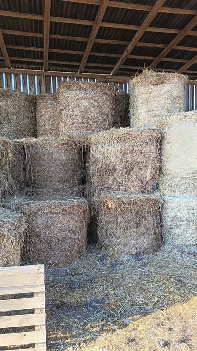 Vand baloti de lucerna