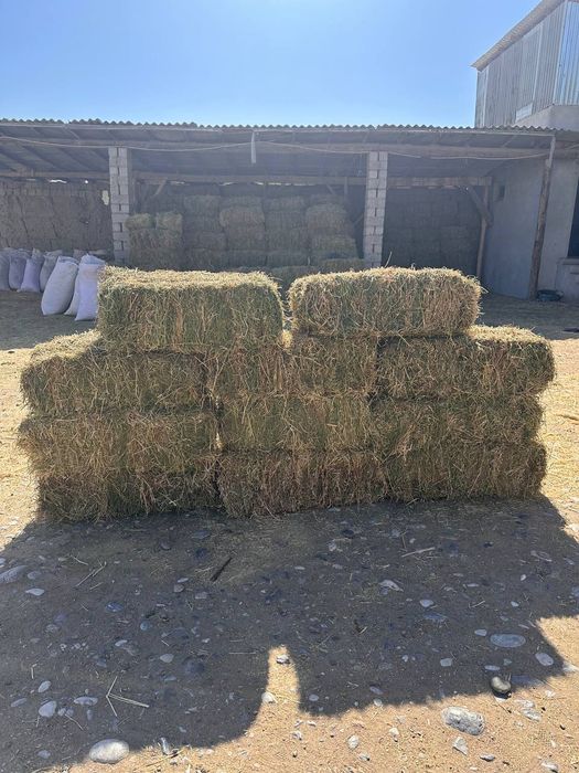 Beda pres sotiladi ikkinchi o'roq