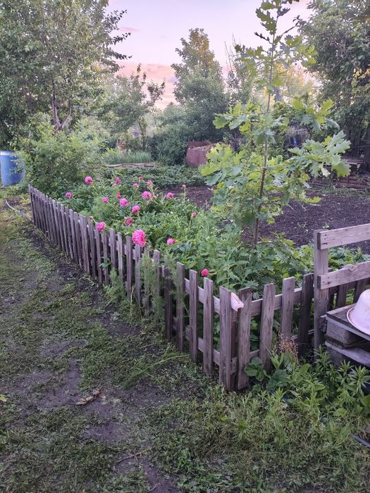 Продам дачу в" Чапаева"