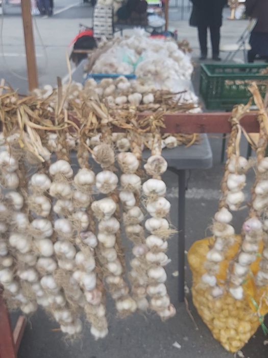 Adevaratul usturoi romanesc - COPĂLĂU