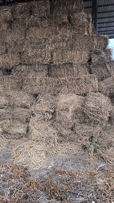 Сено для животных