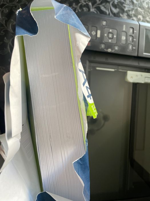 Принтер Canon PIXMA MG4250