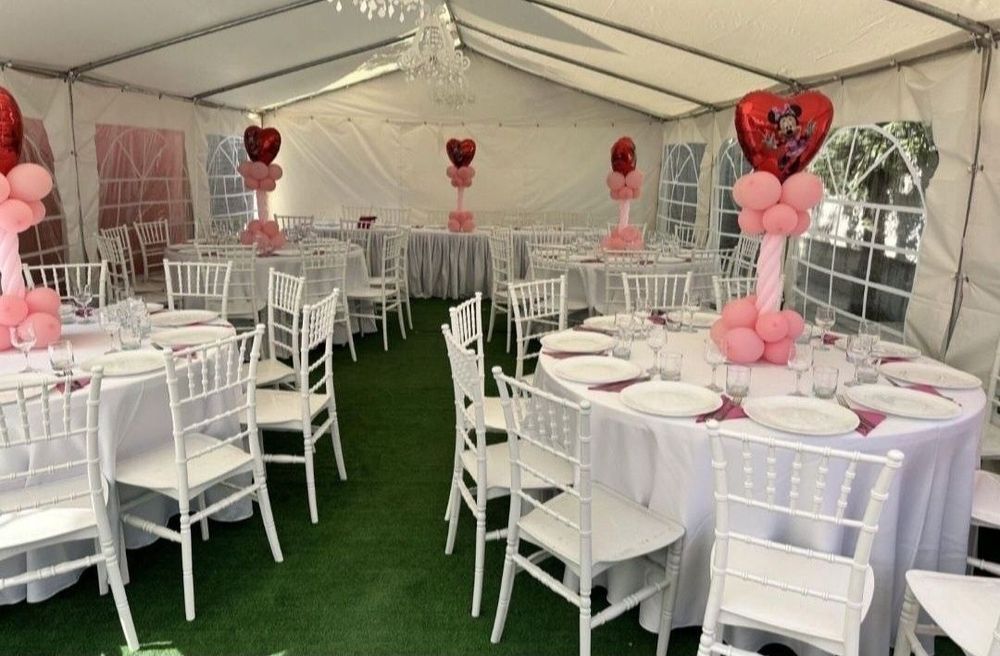 Cort profesional evenimente , manechin , masuta