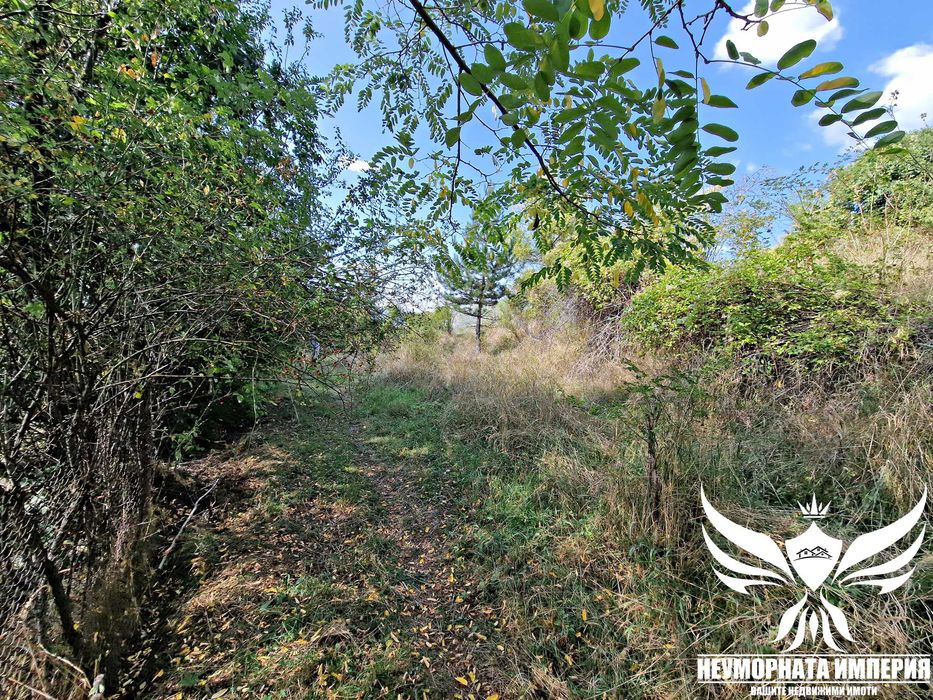 Продава се Парцел в с. Борово, Област Пловдив - 1500 кв.м за 31 €/кв.м - Снимка #14