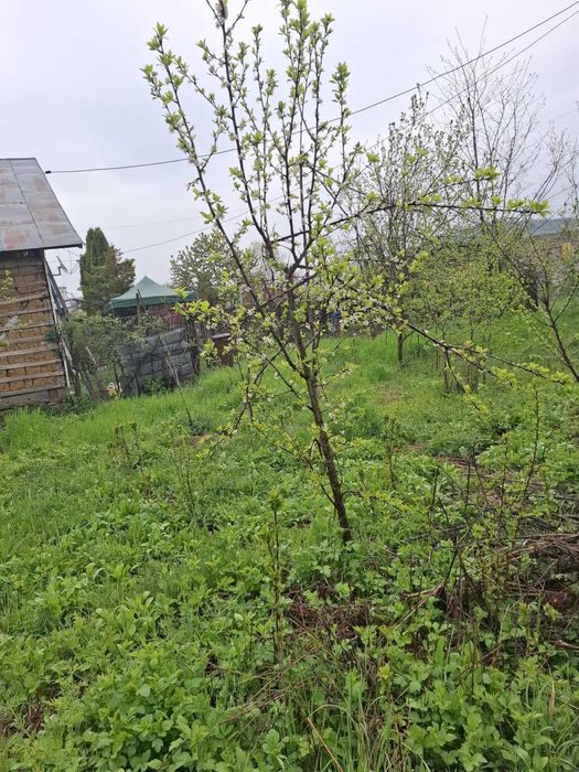 vand teren intravilan 3065 mp f aproape de Valenii de munte