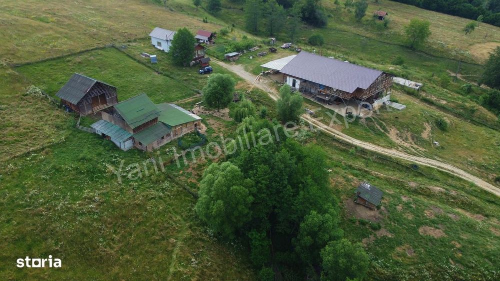 Fermă de animale + teren de vânzare în comuna Bughea de Jos, Argeș.