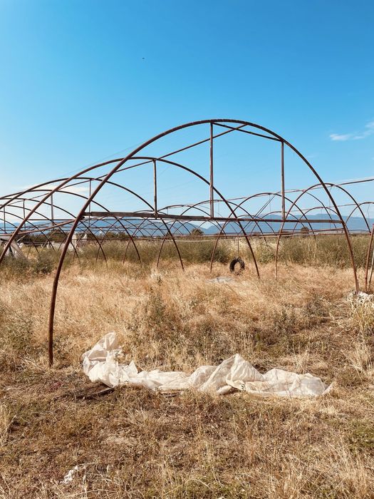 Ферми за оранжерии