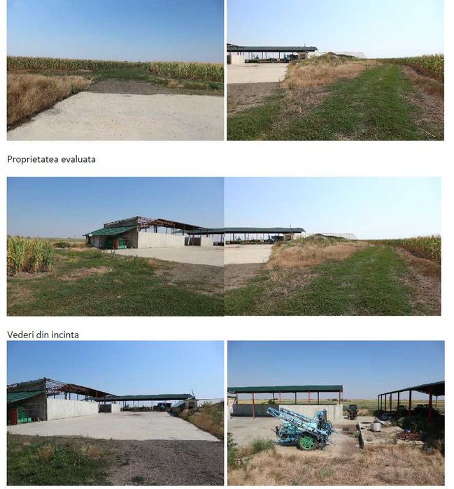 Proprietate imobiliara industrial-agricola – Com. Becicherecu Mic, jud. Timis