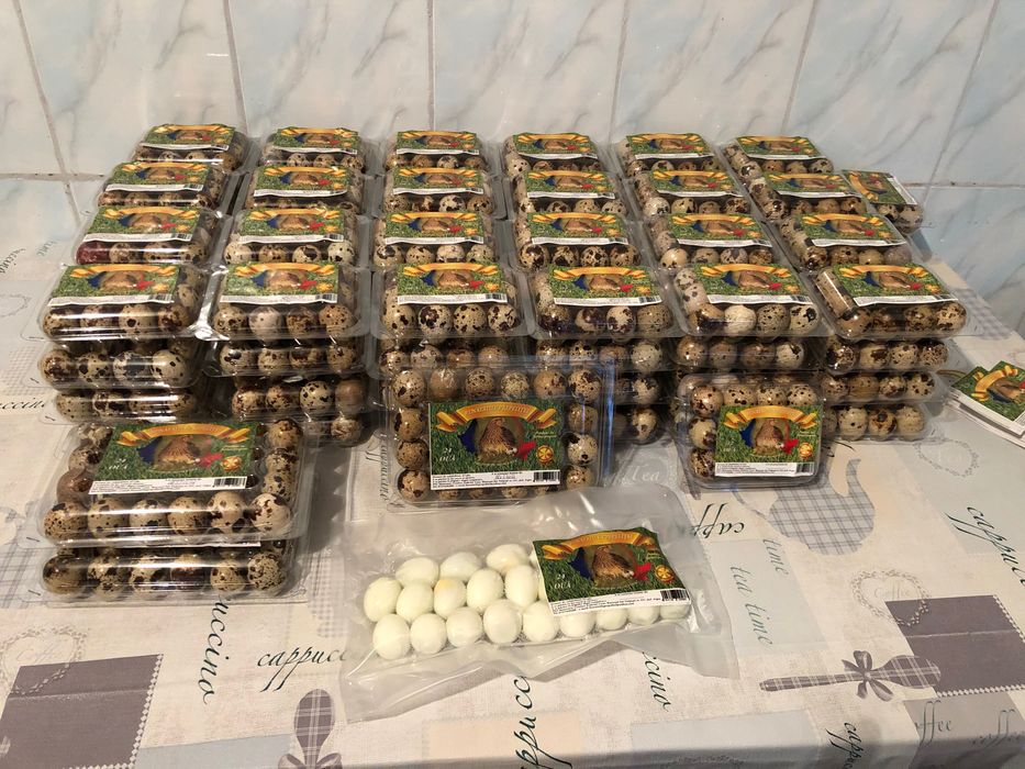 Oua de prepelita proaspete