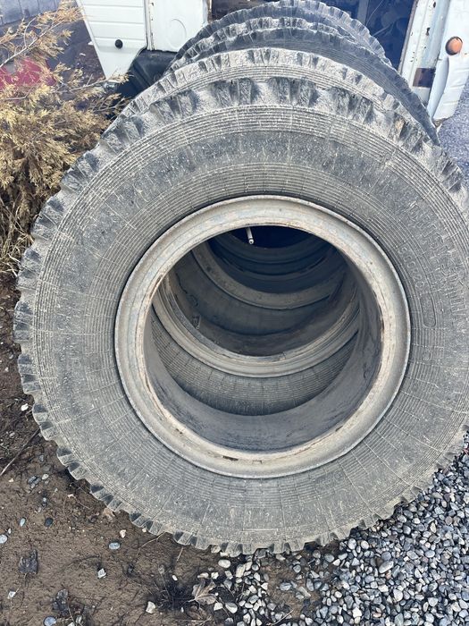 Камаз балон R20 9.00