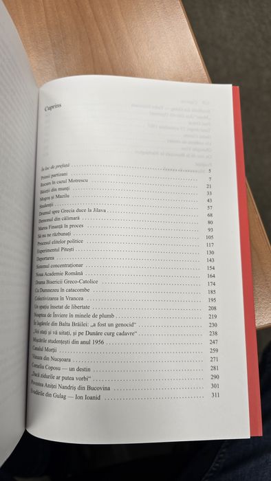 Lucia Hossu Longin - Memorialul Durerii