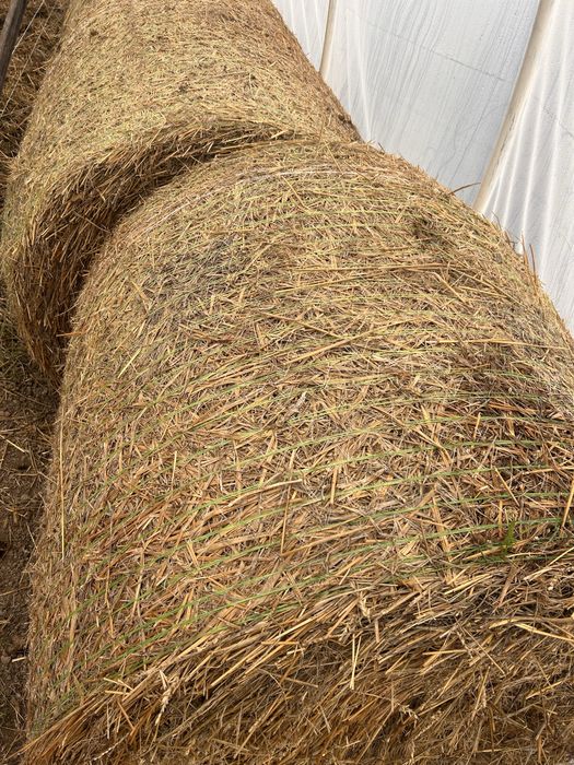 Vand baloti de paie 120x120x