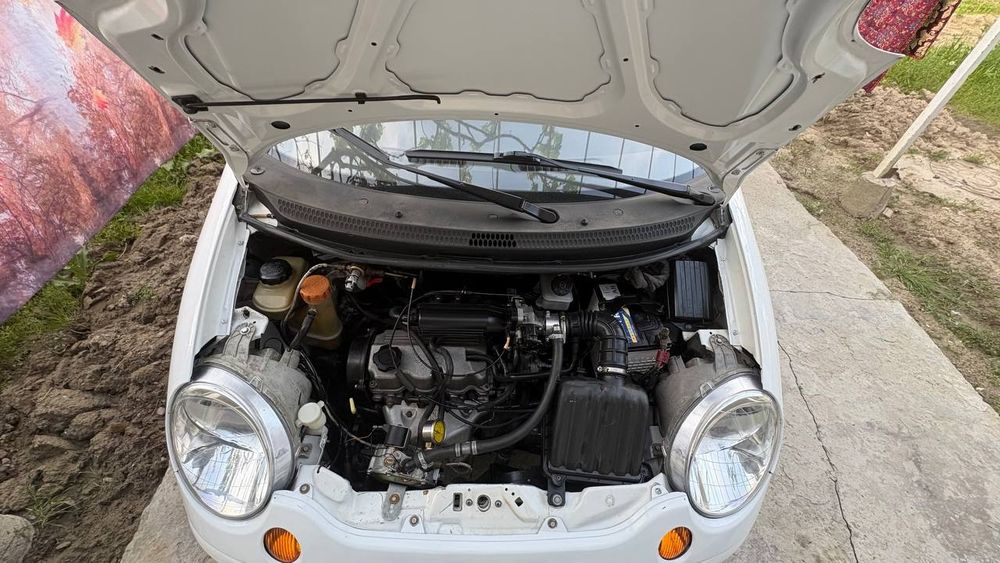 Матизча чотки состоянида