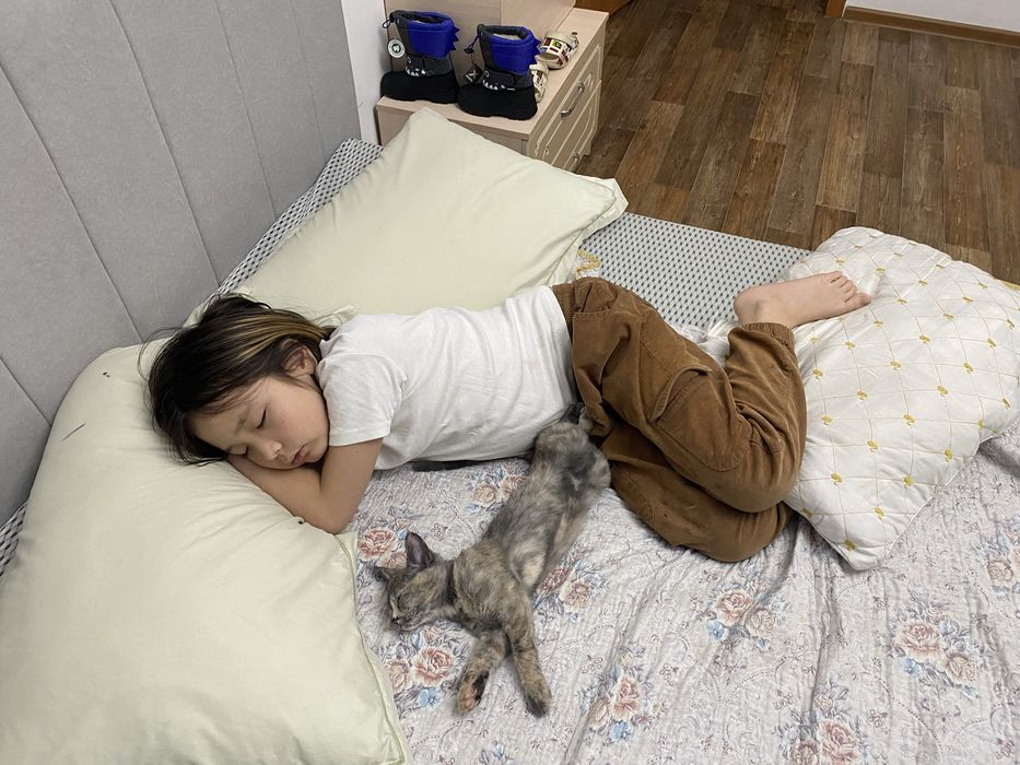 Кошечка 8 месяцев