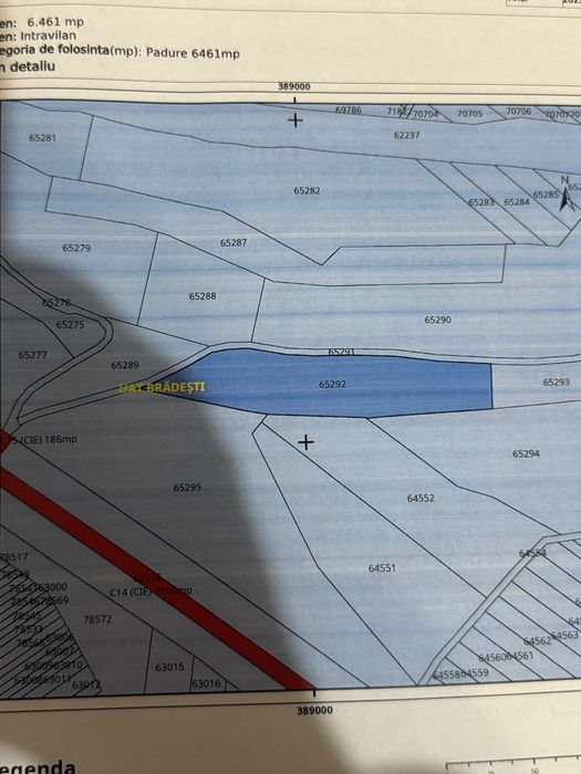 vand teren intravilan padure in suprafata de 6461 mp
