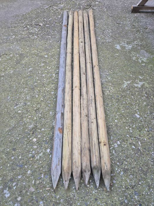70 Stalpi lemn tratati, diametru 6-7 cm, lungime 2m, 17 lei/buc.