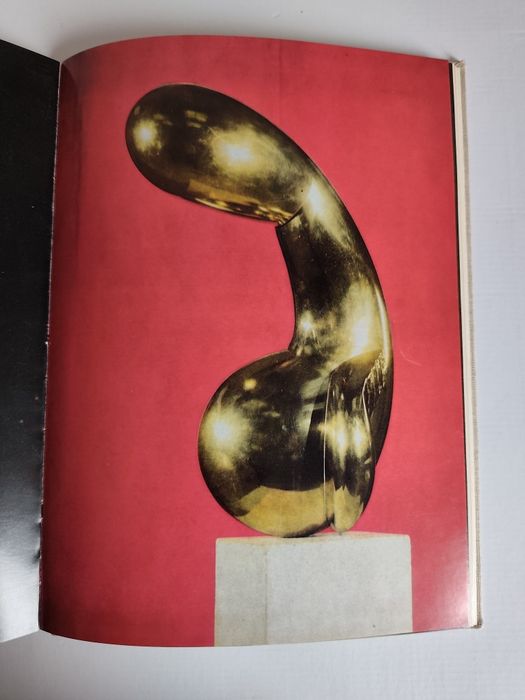 Constantin Brâncuși – Petre Oprea (1976).  Album Artă rar format mare