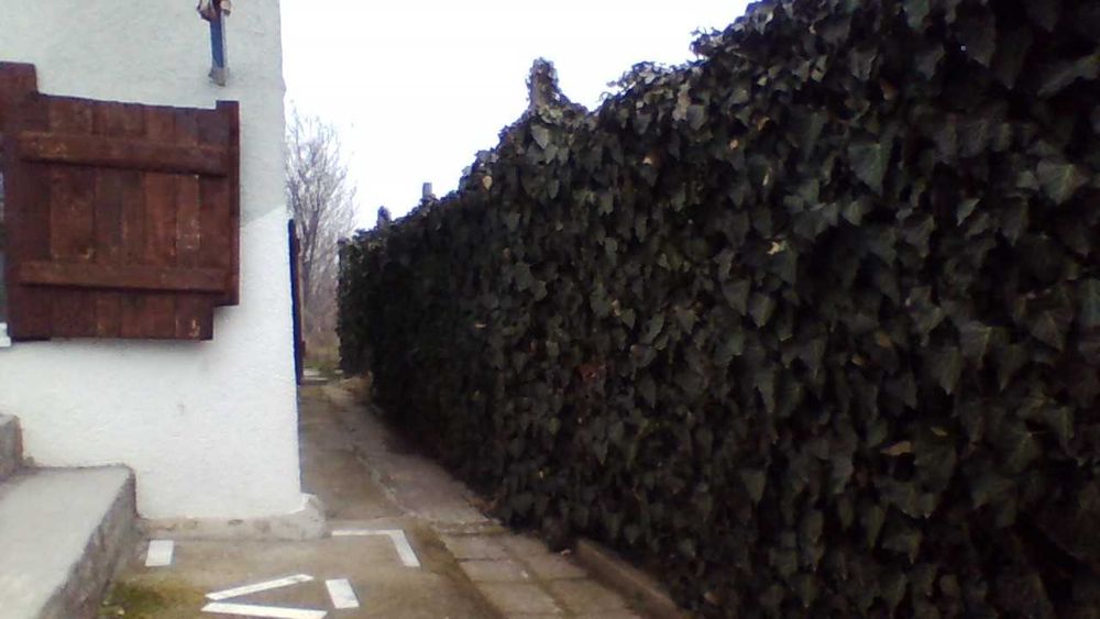 Продава се Къща в Момчилград - 84 кв.м за 395 €/кв.м - Снимка #15