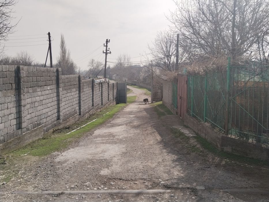 Parkentdan er ijaraga