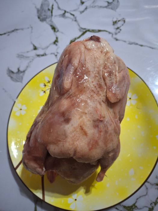 Колдын боденеси,