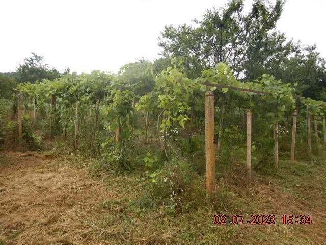 Продава се Къща в с. Ружинци, Област Видин - 120 кв.м за 170 €/кв.м - Снимка #3