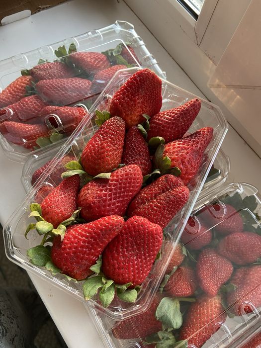 Клубника в шоколаде