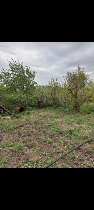 Продам дау С.О. Элеваторщик