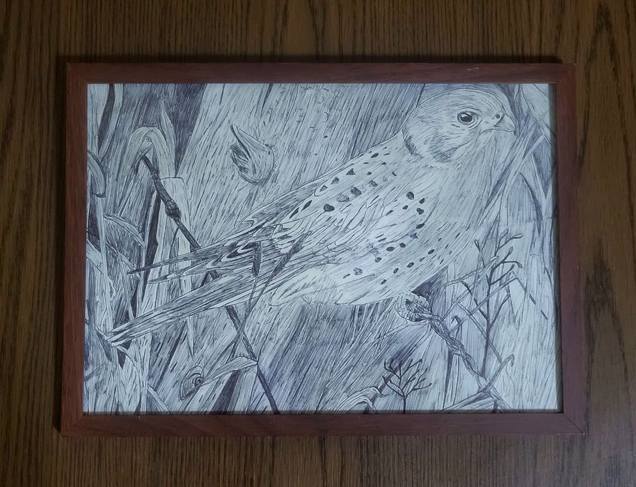 Рисунок | Ручная графика