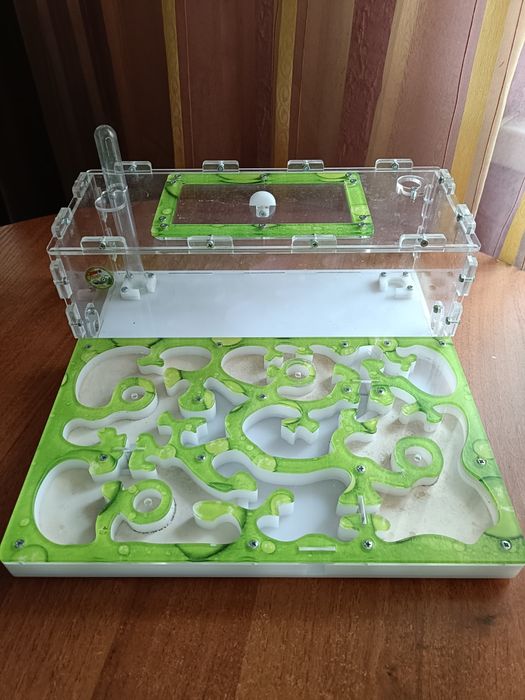 Ферма для муравьев (формикарий)