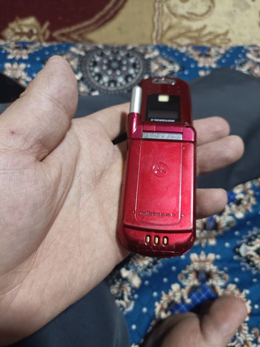 Ассламу алекум коликсанерлар учун билган блади