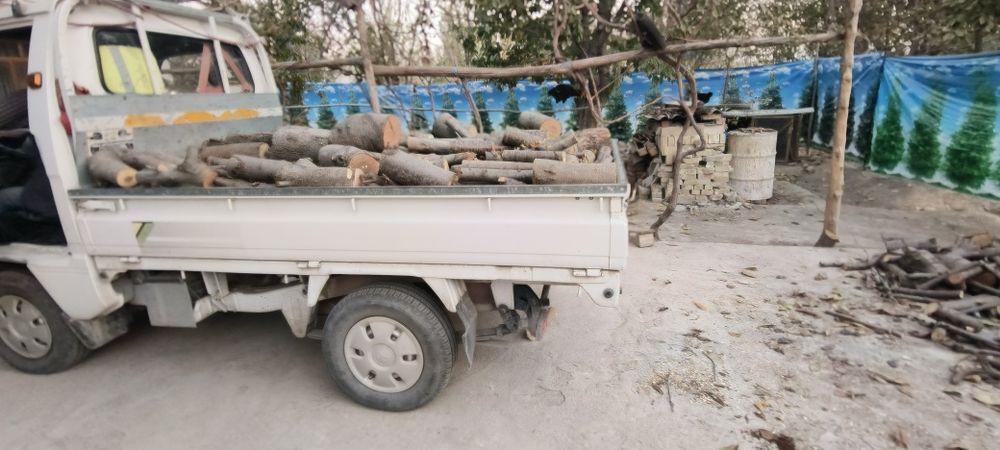 Qoʻqon gilos  oʻtin sotiladi