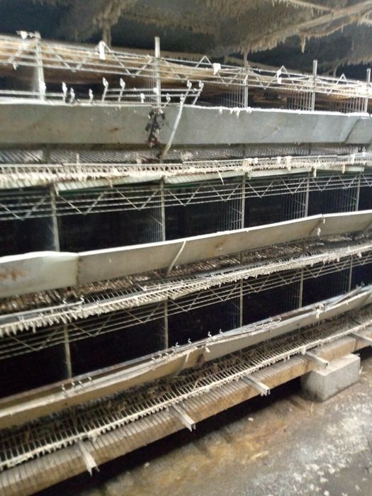 Клеточное оборудование