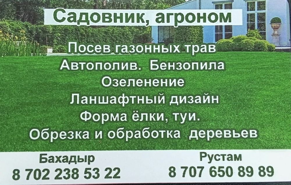 Посадка газона с поливом