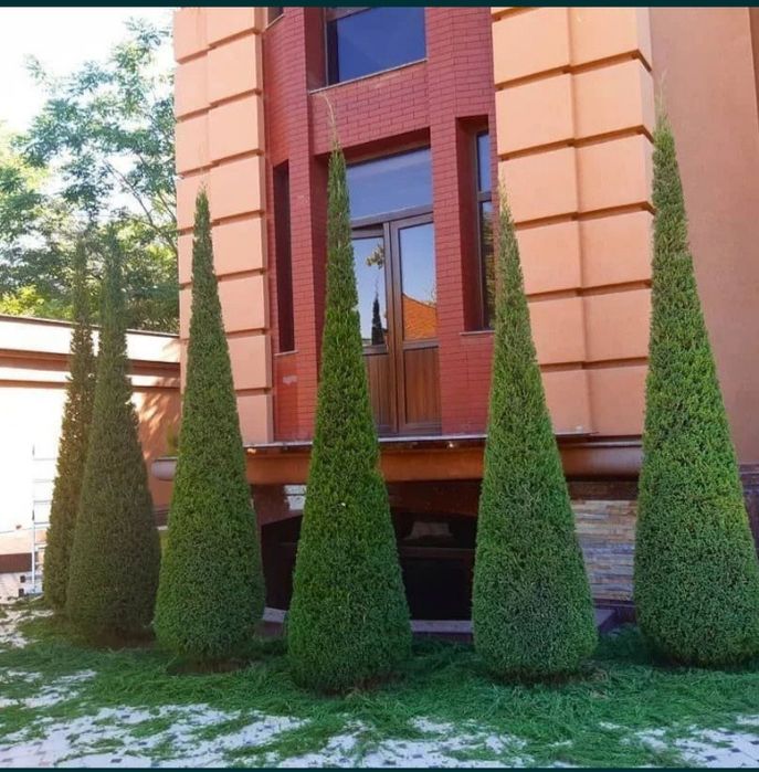 Богбон хизмати садовник