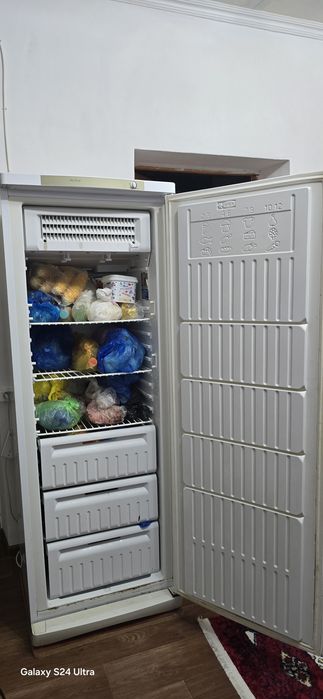 Маразилка вертикальный