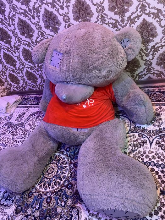 Ayqicha teddy buyi 2,2 metr