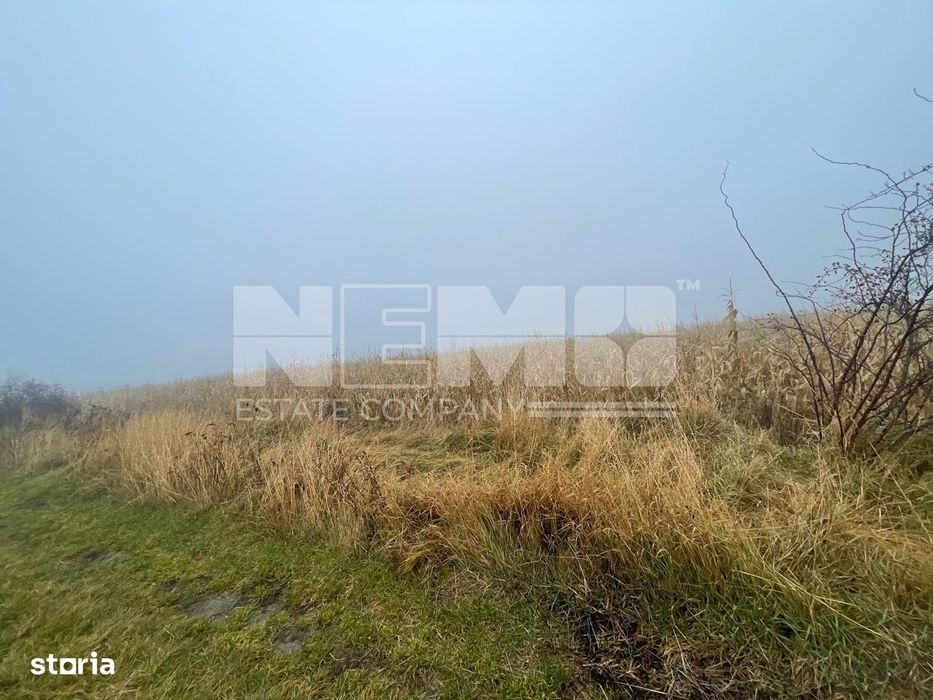 Teren Extravilan | Doua Parcele 2.84 Ha| Darmanesti