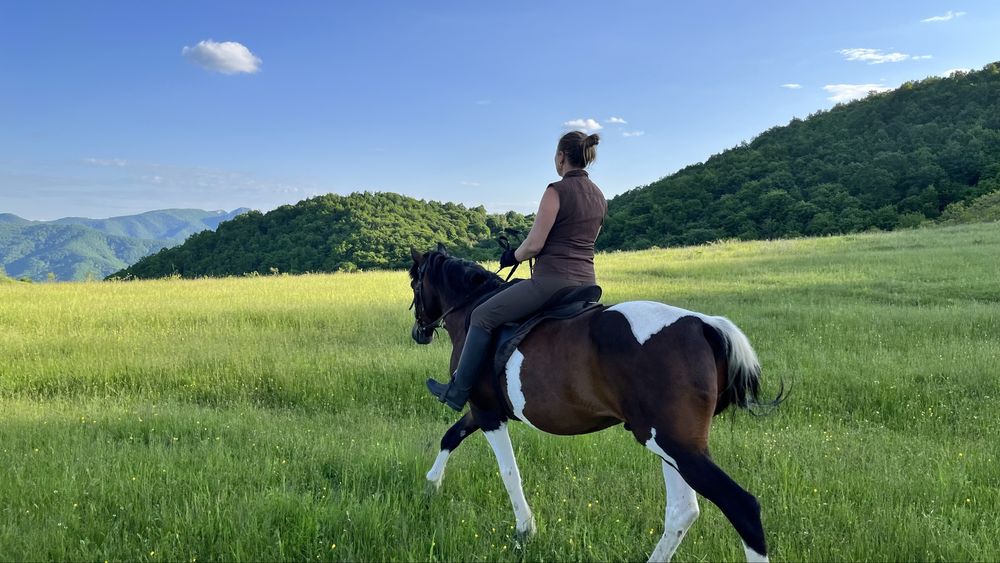 Cal de echitatie / calarie foarte bland, ideal pentru copii