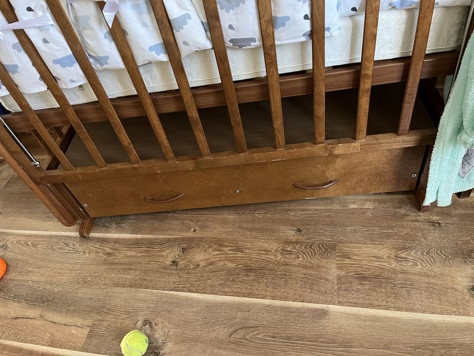 Отдам бесплатно