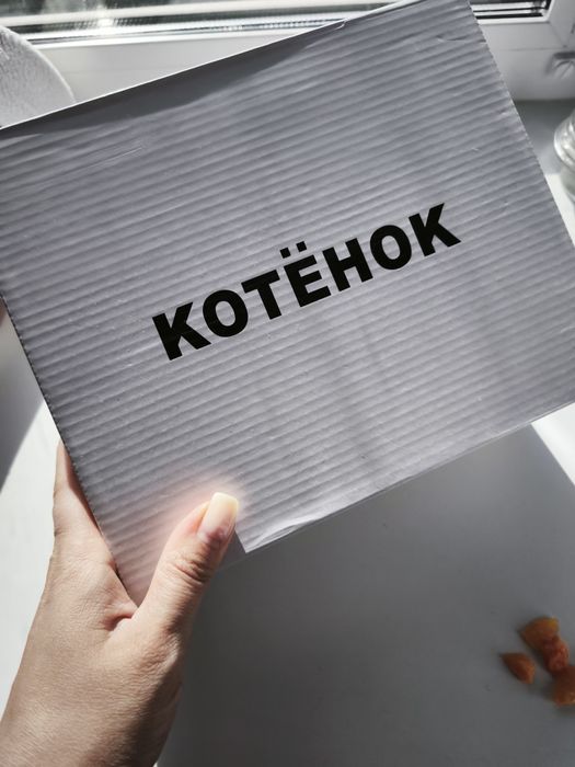 Демисезонные ботинки на мальчика