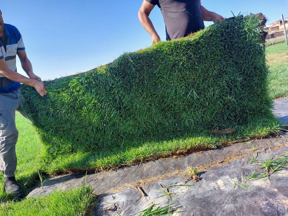 Рулонный Газон ландшафт Gazon газон