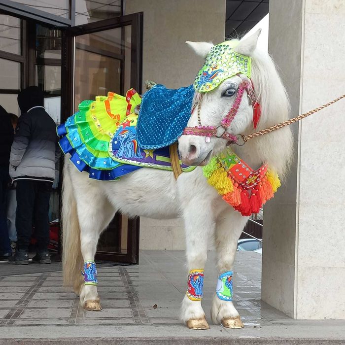 конь, пони, трон