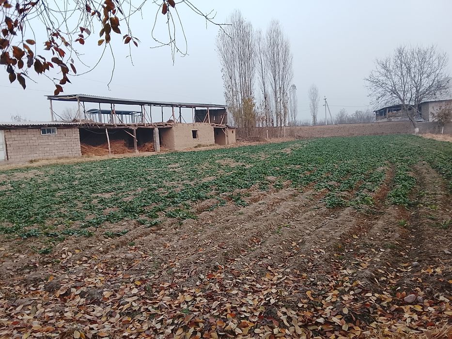 Йол устидан 8 сотих йеримиза сотуга чикти