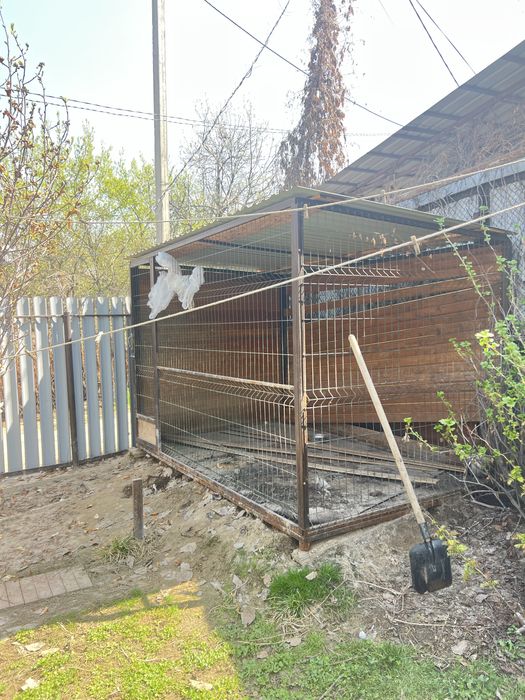 Вольер для собак, 3х2