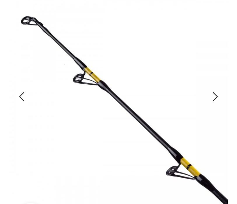 Въдица за сом  FL Catfish Passion Pro 2.70м
