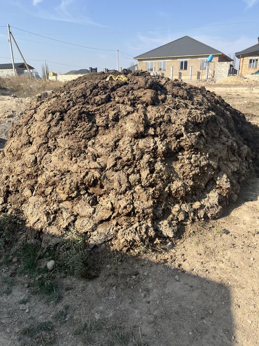 Навоз тегін, тезек тегін.